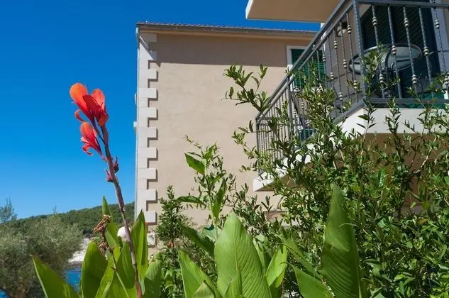 Economy Tek Büyük Yataklı Oda, Bahçe Manzaralı