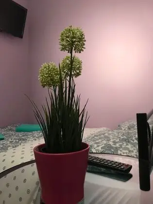 Tek Büyük Yataklı Oda, Penceresiz