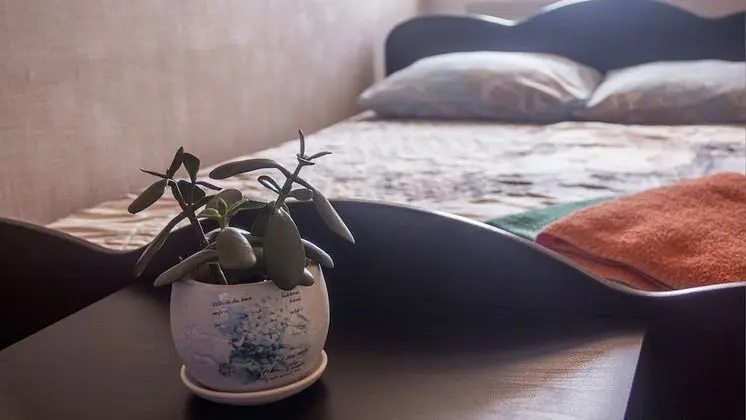 Economy Tek Büyük Yataklı Oda