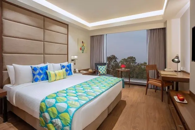 Deluxe Oda, 1 Büyük (Queen) Boy Yatak, Şehir Manzaralı (Deluxe Room)