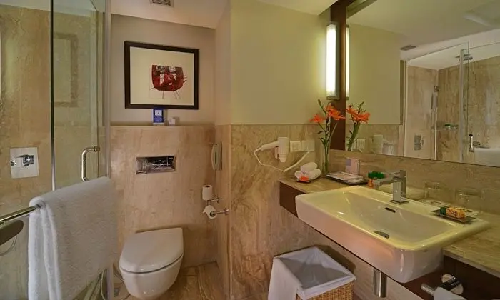 Standard Oda, Birden Çok Yatak (Deluxe Room)