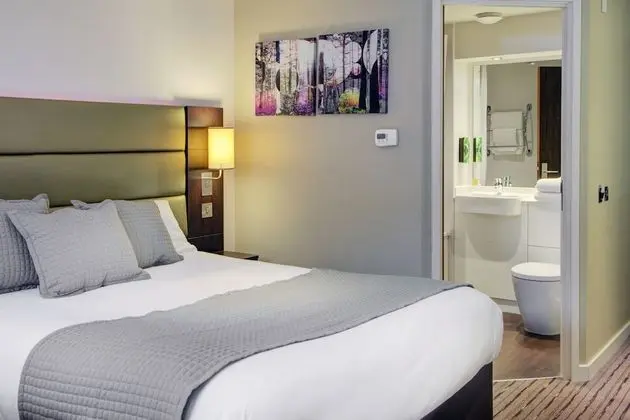Deluxe Oda, 1 Çift Kişilik Yatak, Sigara İçilmez