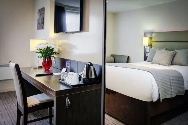 Deluxe Oda, 1 Çift Kişilik Yatak, Sigara İçilmez