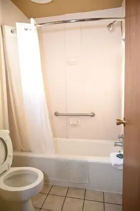 Tek Kişilik Oda, 1 En Büyük (King) Boy Yatak, Sigara İçilmez