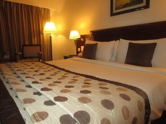 Standard Oda, 1 En Büyük (King) Boy Yatak, Şehir Manzaralı (Deluxe Room Double)