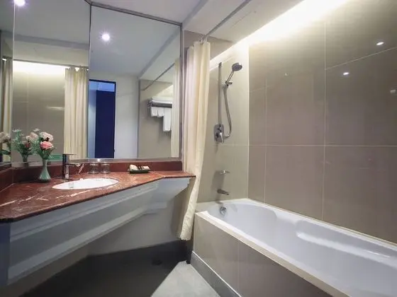Deluxe Tek Büyük veya İki Ayrı Yataklı Oda, Şehir Manzaralı