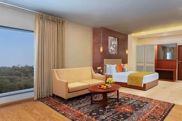Süit (Executive Suite)