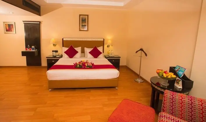 Süit, 1 En Büyük (King) Boy Yatak, Şehir Manzaralı (Suite Room)