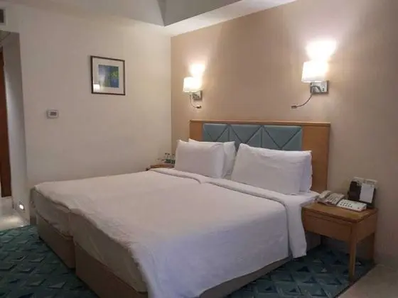 Standard Oda, 1 Büyük (Queen) Boy Yatak, Muhtelif Manzaralı (Deluxe Room Double)