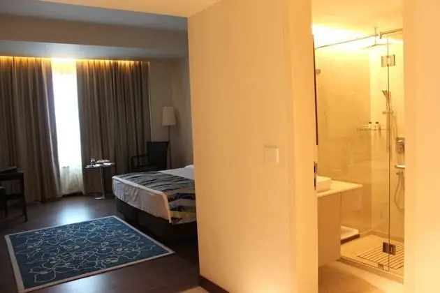 Executive Tek Büyük veya İki Ayrı Yataklı Oda, 1 Yatak Odası, Özel Banyo
