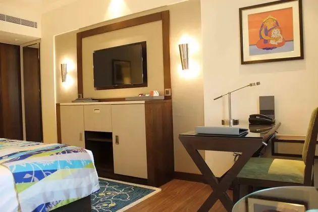 Executive Tek Büyük veya İki Ayrı Yataklı Oda, 1 Yatak Odası, Özel Banyo