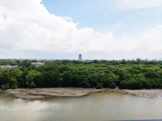 Deluxe River View Room