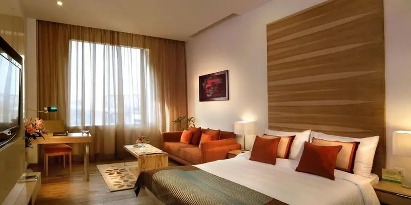 Deluxe Oda, 1 En Büyük (King) Boy Yatak, Şehir Manzaralı