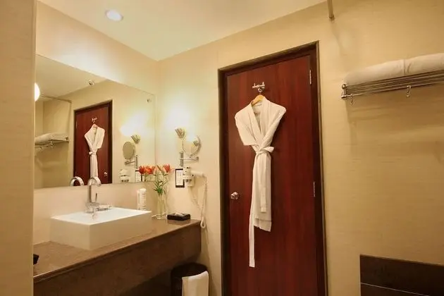 Standard Oda, 1 Büyük (Queen) Boy Yatak, Şehir Manzaralı (Deluxe Room Double)