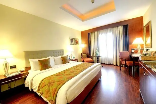 Standard Süit, 1 Büyük (Queen) Boy Yatak, Şehir Manzaralı (Executive Suite)