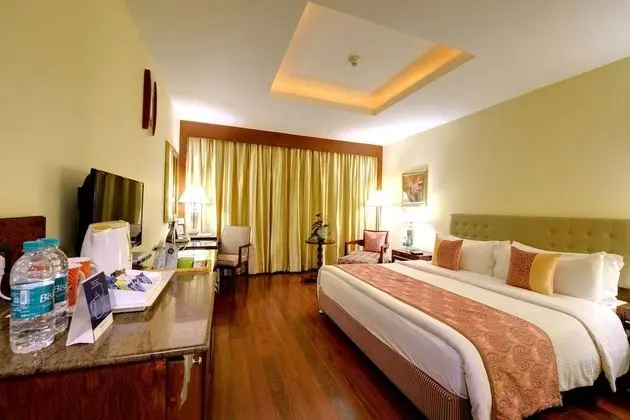 Standard Süit, 1 Büyük (Queen) Boy Yatak, Şehir Manzaralı (Executive Suite)