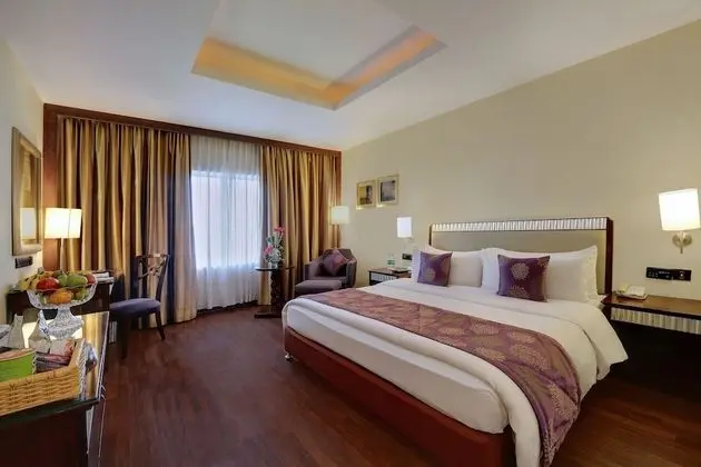 Standard Süit, 1 Büyük (Queen) Boy Yatak, Şehir Manzaralı (Executive Suite)