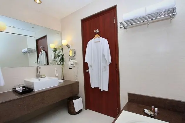 Standard Süit, 1 Büyük (Queen) Boy Yatak, Şehir Manzaralı (Executive Suite)