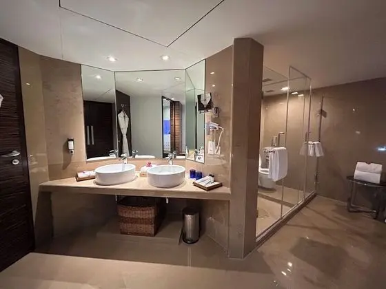 Superior Süit, 1 En Büyük (King) Boy Yatak, Şehir Manzaralı (Executive Suite)