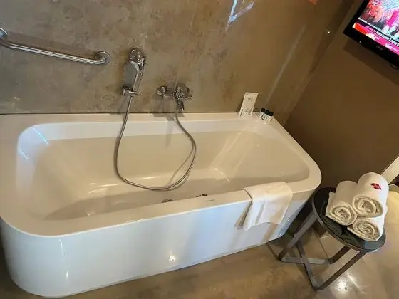 Superior Süit, 1 En Büyük (King) Boy Yatak, Şehir Manzaralı (Executive Suite)