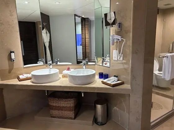 Superior Süit, 1 En Büyük (King) Boy Yatak, Şehir Manzaralı (Executive Suite)