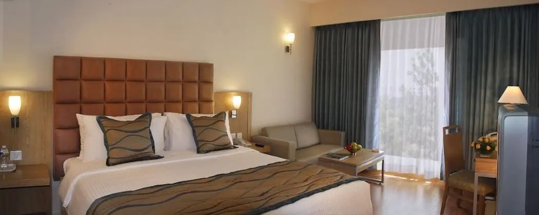 Standard Oda, Birden Çok Yatak, Muhtelif Manzaralı (Standard Room Double)