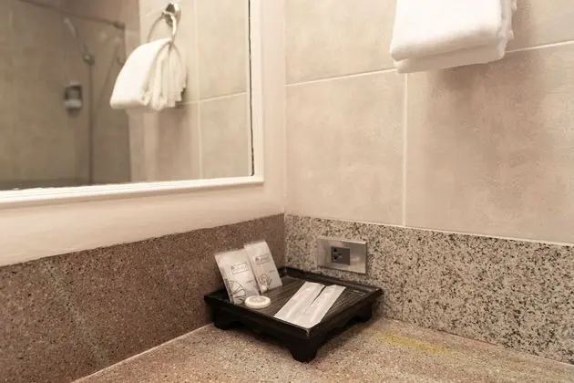 Deluxe Tek Büyük veya İki Ayrı Yataklı Oda, 1 Yatak Odası, Balkon, Şehir Manzaralı