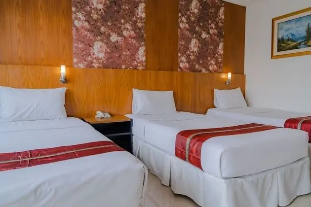 Deluxe Üç Kişilik Oda, 1 Yatak Odası, Balkon, Şehir Manzaralı