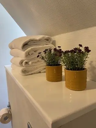 Basic İki Ayrı Yataklı Oda