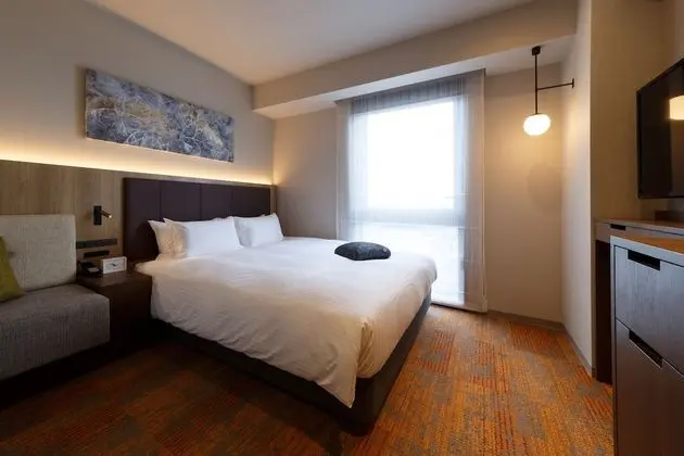 Comfort Tek Büyük Yataklı Oda (2 Guests)
