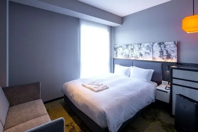 Tek Büyük Yataklı Oda, Sigara İçilmez (Forza, For 2 Guests)