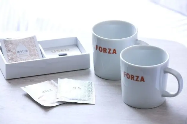 Tek Büyük Yataklı Oda, Sigara İçilmez (Forza, For 2 Guests)