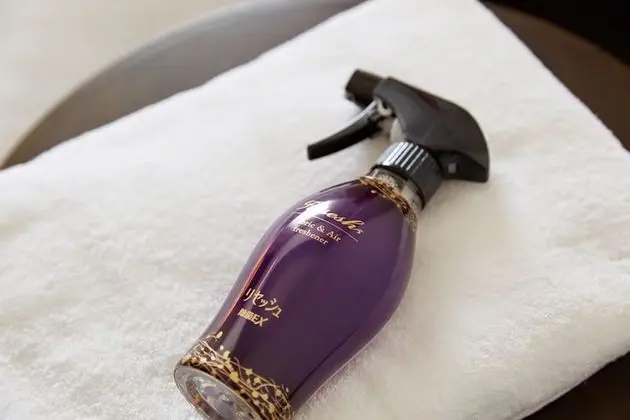 Tek Büyük Yataklı Oda (HEALING Type, Single Use)