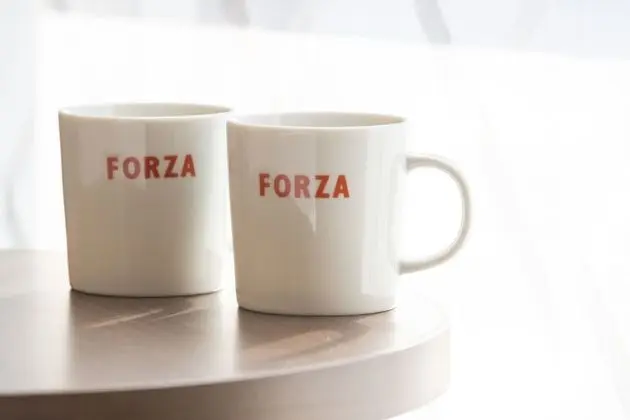 Tek Kişilik Oda, Sigara İçilmez (Forza for 2 People)