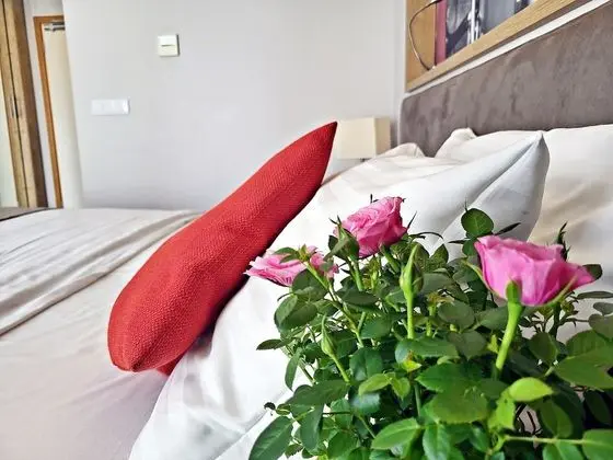 Comfort Tek Büyük veya İki Ayrı Yataklı Oda