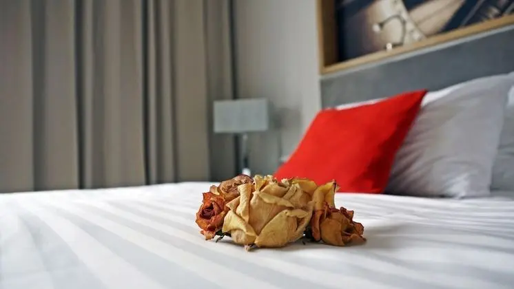 Comfort Tek Büyük veya İki Ayrı Yataklı Oda