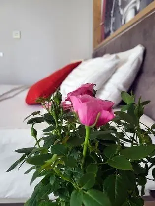 Comfort Tek Büyük veya İki Ayrı Yataklı Oda