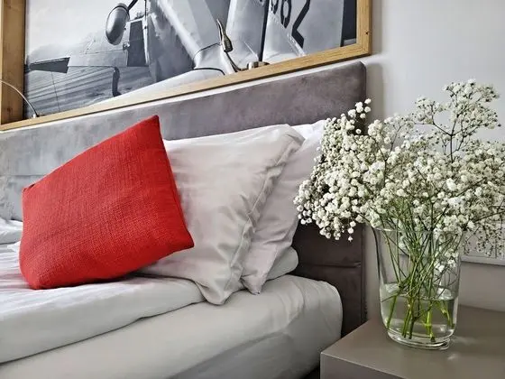 Deluxe Tek Büyük veya İki Ayrı Yataklı Oda