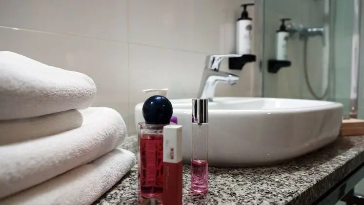 Deluxe Tek Büyük veya İki Ayrı Yataklı Oda