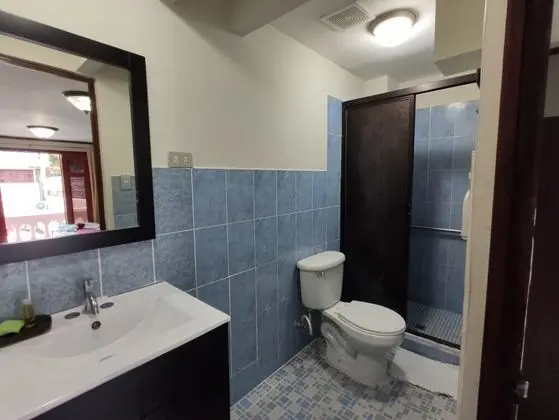 Standard Tek Büyük Yataklı Oda, 1 Çift Kişilik Yatak