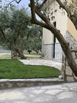 Ev