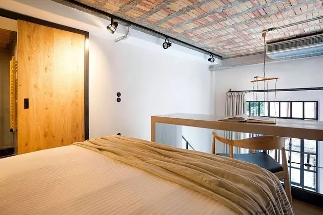 Design Çatı Katı (Loft) (F1)