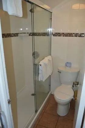 City Stüdyo