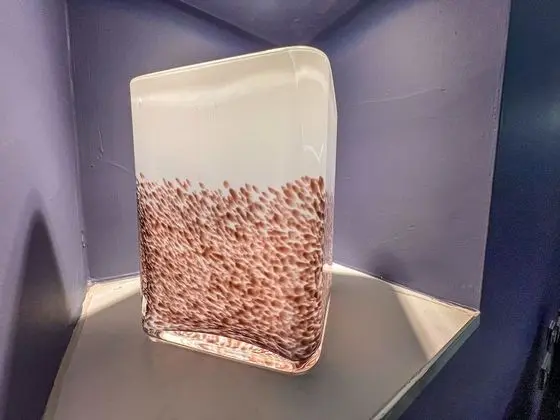 Executive Dört Kişilik Oda, Özel Banyo