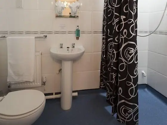 Deluxe Tek Büyük Yataklı Oda, Banyolu/Duşlu (Sofa Bed IF Pre Requested)