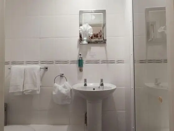 Standard Tek Büyük Yataklı Oda, Banyolu/Duşlu