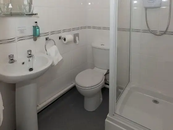 Standard Tek Büyük Yataklı Oda, Banyolu/Duşlu