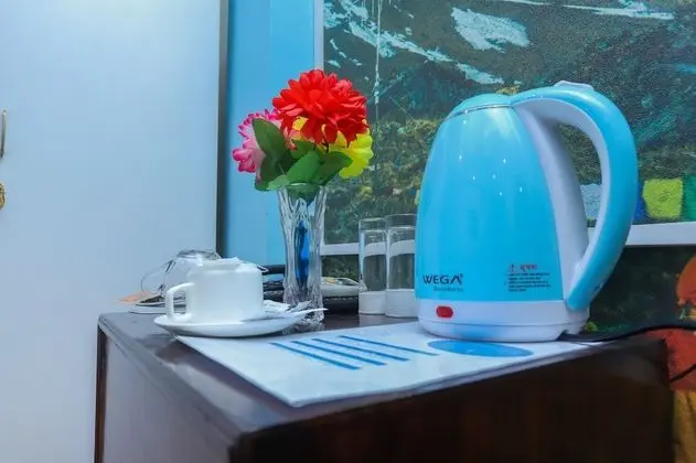 Deluxe Tek Büyük veya İki Ayrı Yataklı Oda