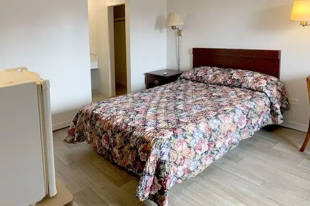 Standard Tek Kişilik Oda, 1 En Büyük (King) Boy Yatak, Sigara İçilebilir