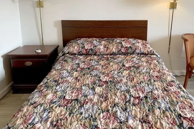 Standard Tek Kişilik Oda, 1 En Büyük (King) Boy Yatak, Sigara İçilebilir